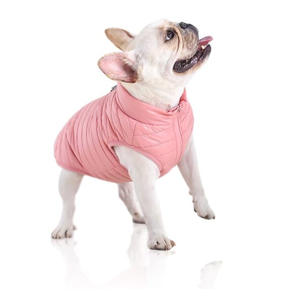 French Bulldog Padded Vest