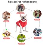 French Bulldog Padded Vest
