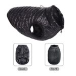 French Bulldog Padded Vest