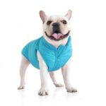 French Bulldog Padded Vest