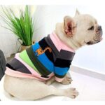 French Bulldog Rainbow Crewneck