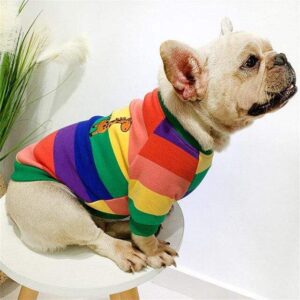 French Bulldog Rainbow Crewneck