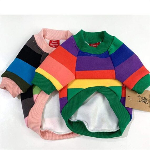 French Bulldog Rainbow Crewneck