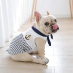 French Bulldog Sailor Sweatshirt