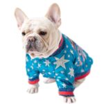 Cosmic Sparkle Bomber Jacket for French Bulldogs