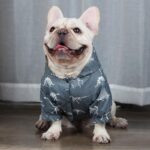 French Bulldog Ultra Light Jacket