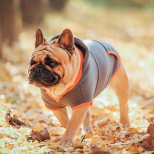 French Bulldog Winter Fleece Hooded Coat