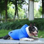 French Bulldog Winter Fleece Hooded Coat