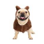 Fuzzy Winter French Bulldog Coat