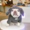 Giant Bunny French Bulldog Hoodie