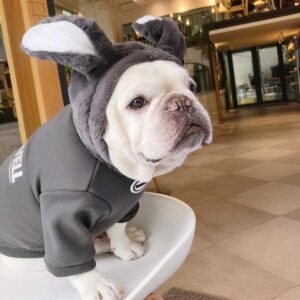 Giant Bunny French Bulldog Hoodie