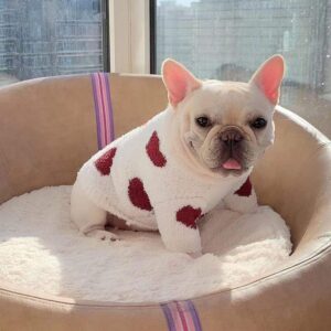 Hearts Fleece French Bulldog Sweater