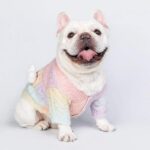 Knitted Pastel French Bulldog Sweater