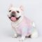 Knitted Pastel French Bulldog Sweater