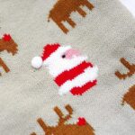 Festive Reindeer Santa French Bulldog Sweater