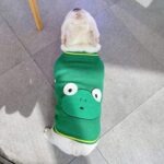 Little Froggy French Bulldog Sweater