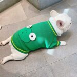 Little Froggy French Bulldog Sweater