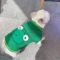 Little Froggy French Bulldog Sweater