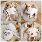 Luxury Frenchie Sleepy Time Bathrobe
