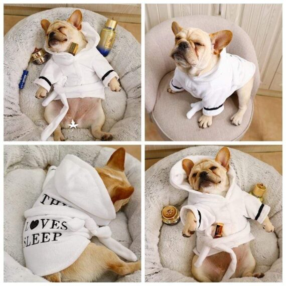 Luxury Frenchie Sleepy Time Bathrobe