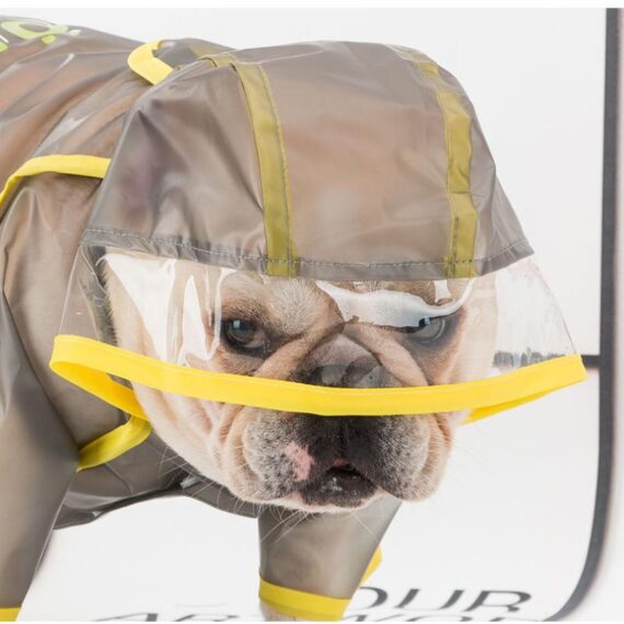 You Can Do It Clear Raincoat Jacket