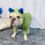 Ooops Winter French Bulldog Hoodie