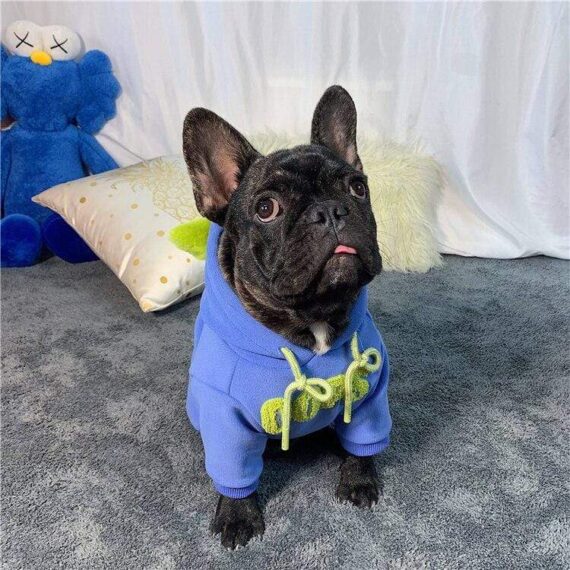 Ooops Winter French Bulldog Hoodie