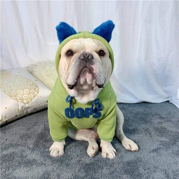Ooops Winter French Bulldog Hoodie