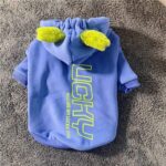 Ooops Winter French Bulldog Hoodie