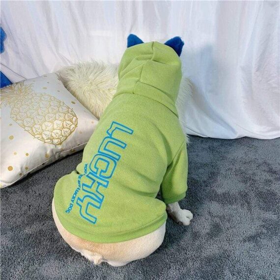 Ooops Winter French Bulldog Hoodie