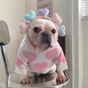 Pink Fuzzy Hearts French Bulldog Sweater