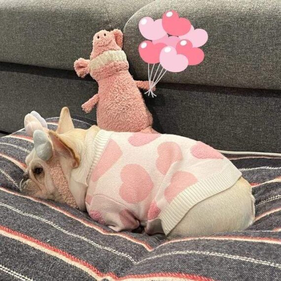 Pink Fuzzy Hearts French Bulldog Sweater