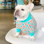 Plaid Hearts French Bulldog Sweater