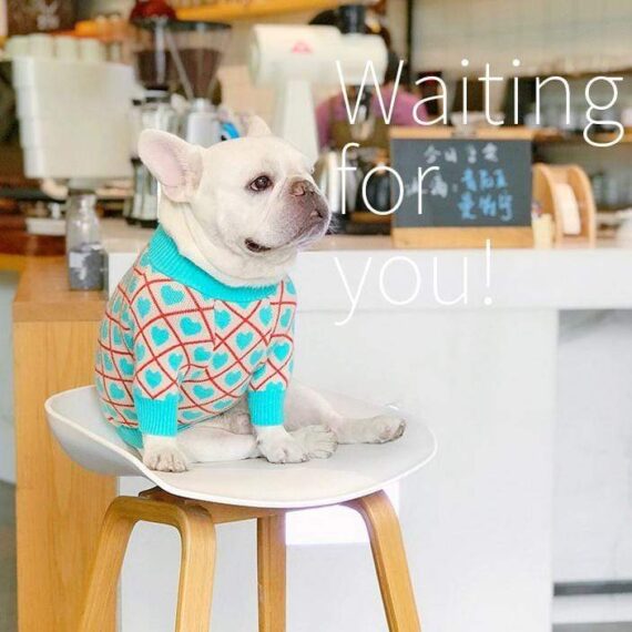 Plaid Hearts French Bulldog Sweater