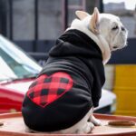 Plaid Paw French Bulldog Hoodie