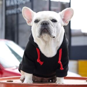 Plaid Paw French Bulldog Hoodie
