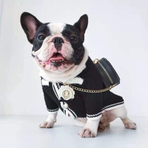 Posh French Bulldog Sweater