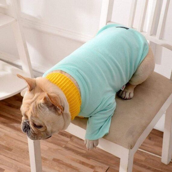 Preppy Polo Dog Shirt - Blue