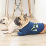Snacktime French Bulldog Tee Collection