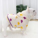 Quirky Duckling Frenchie Hoodie