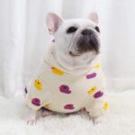 Quirky Duckling Frenchie Hoodie