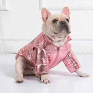 Royal Guard Shiny French Bulldog Jacket