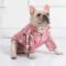 Royal Guard Shiny French Bulldog Jacket