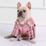 Royal Guard Shiny French Bulldog Jacket