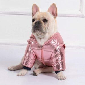 Retro Shiny Jacket