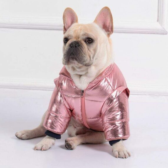 Royal Guard Shiny French Bulldog Jacket