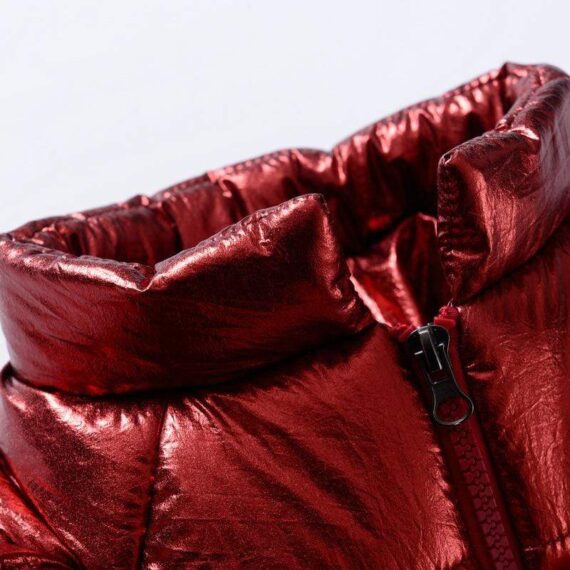 Royal Guard Shiny French Bulldog Jacket
