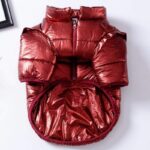 Royal Guard Shiny French Bulldog Jacket
