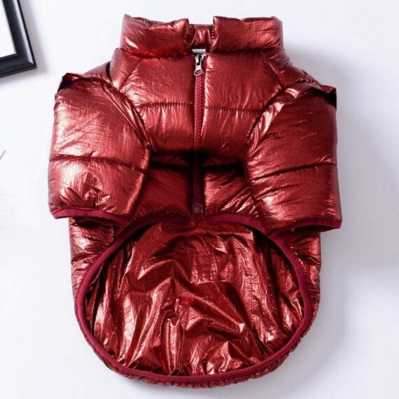 Royal Guard Shiny French Bulldog Jacket