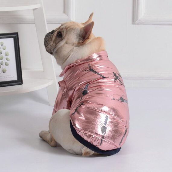 Royal Guard Shiny French Bulldog Jacket